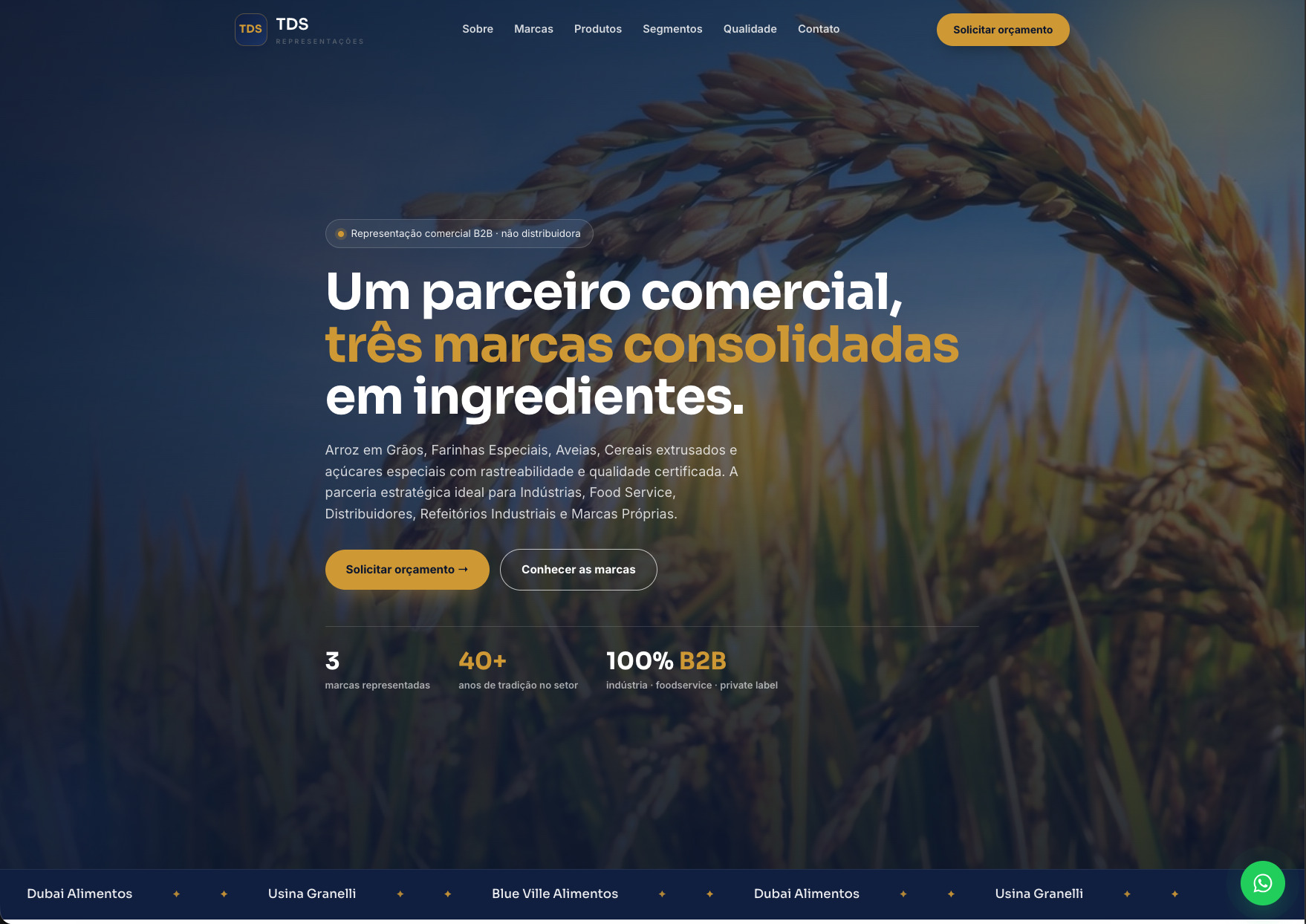 Site da TDS Representações